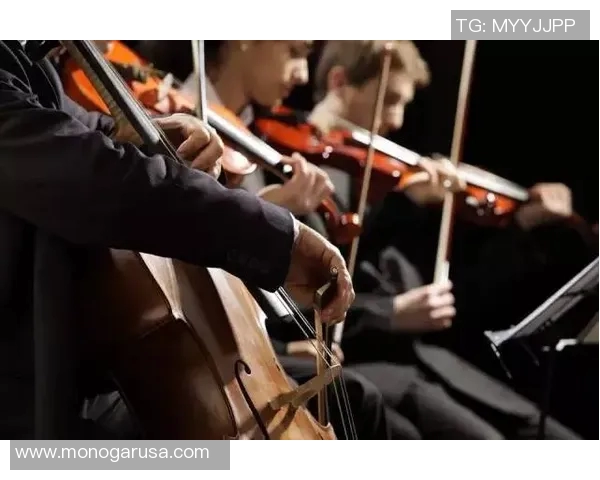 观赛礼仪指南发布助力提升赛事观赏体验与文明观赛风尚