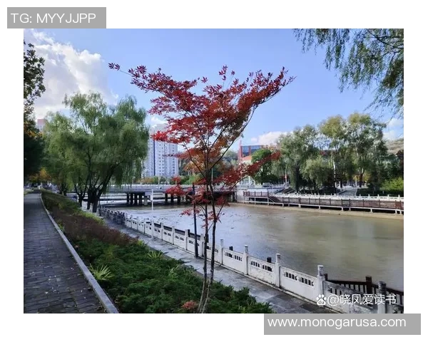 徐彬铲断青岛西海岸的背后故事与未来发展展望