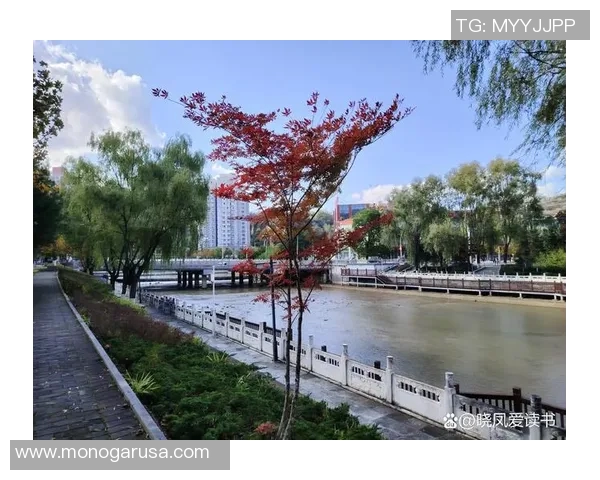 徐彬铲断青岛西海岸的背后故事与未来发展展望